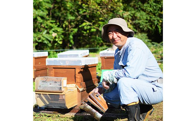 はちみつ 志賀高原BUNBUN りんご蜜300g ハチミツ 蜂蜜 山ノ内町