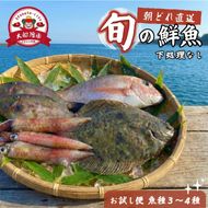 【下処理なし】 朝獲れ 鮮魚 ボックス おためし便 魚種 3～4種 三陸 朝獲れ直送 冷蔵 魚種お任せ 水揚げ 海鮮 魚介 産地直送 新鮮 天然 魚 詰め合わせ 鮮魚便 鮮魚セット 三陸産 国産 海鮮 旬 岩手県 大船渡市 1万円 10000円