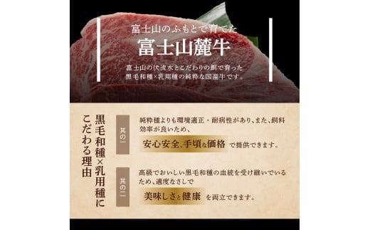 山梨県産 富士山麓牛 ロース・ヒレステーキ 800g ステーキ 焼肉 精肉 国産 富士山麓牛 冷凍 送料無料 山梨 富士吉田