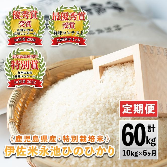 H4-01 【定期便】令和6年産 特別栽培米 伊佐米永池ひのひかり(計60kg・10kg×6ヶ月)鹿児島でも極良食味のお米が出来る永池地区で作ったお米！九州米サミット食味コンテスト最優秀賞を2回受賞【エコファーム永池】