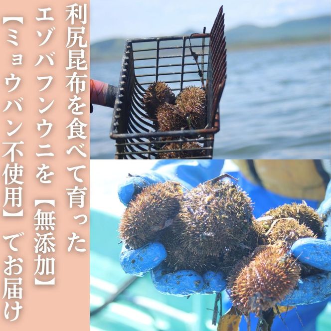 20-323 生 うに 紋別コムケ湖産 ミョウバン不使用 100g（100g×1個）