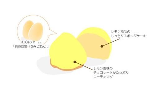 スズキファーム＜黄身自慢＞を使用！パティスリー グランネージュのレモンケーキ（15個入）【スイーツ レモン 洋菓子 焼き菓子 ピューレ ケーキ 手土産 おやつ 贈り物 グランネージュ レモンケーキ パウンドケーキ 爽やか 水戸市】