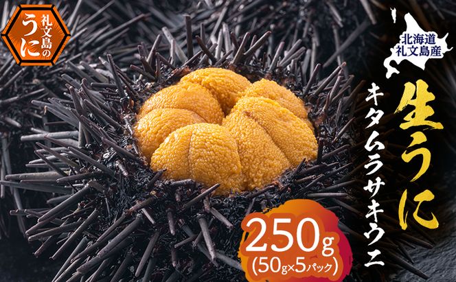 北海道 礼文島産 採れたて ミョウバン不使用 キタムラサキウニ 塩水パック 250g(50g×5個)［株式会社やまじょう］【 うに ウニ 雲丹 生うに 塩水うに キタムラサキウニ 滅菌海水 海鮮 うに丼 濃厚 甘み 】