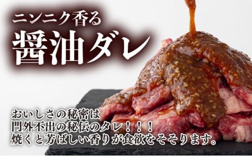 秘伝の味！バラエティ焼肉セット 2.1kg 牛肉 豚肉 鶏肉 焼肉 ハラミ ホルモン 鶏モモ タレ漬け 味付 お手軽 焼くだけ 簡単調理 冷凍