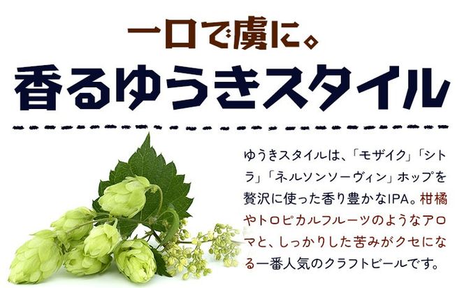 ビール ゆうきスタイルIPA 330ml × 3本 6本 株式会社結城麦酒《30日以内に出荷予定(土日祝除く)》茨城県 結城市 ビール 酒 エール クラフトビール 瓶 敬老の日 国産 IPA ホップ---yuki_mgi_8_3b---