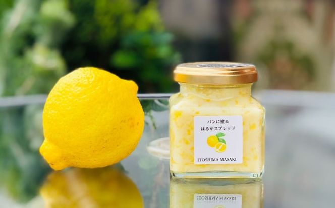 はるかバター 大 1個 糸島市 / 糸島正キ みかん ジャム クリーム[AQA058] バター フルーツバター はるか みかん ジャム かわいい ギフト 贈り物