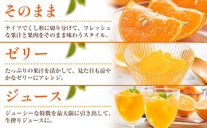 オレンジ 訳あり ご家庭用 セミノールオレンジ 約5kg 株式会社魚鶴商店《2027年5月上旬-5月中旬頃出荷予定》 和歌山県 日高町 柑橘 フルーツ---wsh_uot248_5j5c_26_12000_5kg---