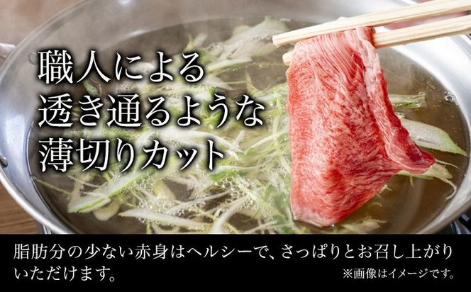 和歌山産 高級和牛 熊野牛 赤身しゃぶしゃぶ用 約600g エバグリーン《30日以内に出荷予定(土日祝除く)》 和歌山県 日高町 牛 うし 牛肉 熊野牛 和牛 高級---wsh_fevg13_30d_24_24000_600g---