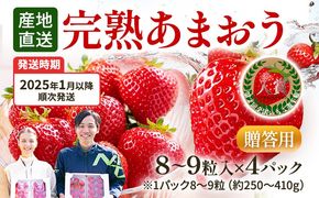 あまおう 8～9粒入り×4パック （先行受付／2025年1月以降順次発送予定）いちご 大粒 不揃い DX デラックス エクセレント 苺 イチゴ 福岡高級 フルーツ 土産 福岡県