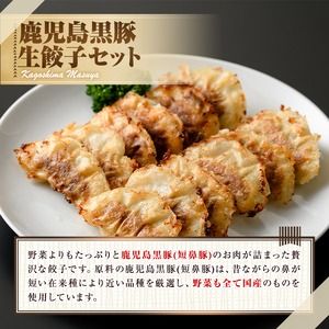 【0095119a】鹿児島黒豚生餃子セット(12個入×2パック・計24個)黒豚 豚肉 ぶた肉 餃子 ギョウザ ぎょうざ 惣菜【鹿児島ますや】