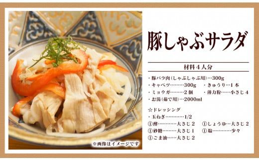 延岡よっとん おまかせセット N003-YD0248
