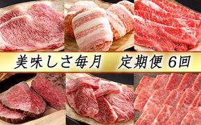 【カネ吉山本】近江牛 おいしさ毎月便−喜−（全6回定期便）（2023年9月改定）【Y092W】（国産牛　和牛　ブランド牛　ブランド和牛　黒毛和牛　牛肉　肉　高級　人気　おすすめ　神戸牛　松阪牛 に並ぶ 日本三大和牛 近江牛）