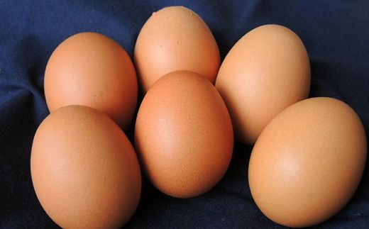 【思いやり型返礼品】 平飼い おぶせのたまご 40個 ［くりのみ園］ 卵 玉子 生卵 鶏卵 長野県産 小布施町産  信州 ［A-22］