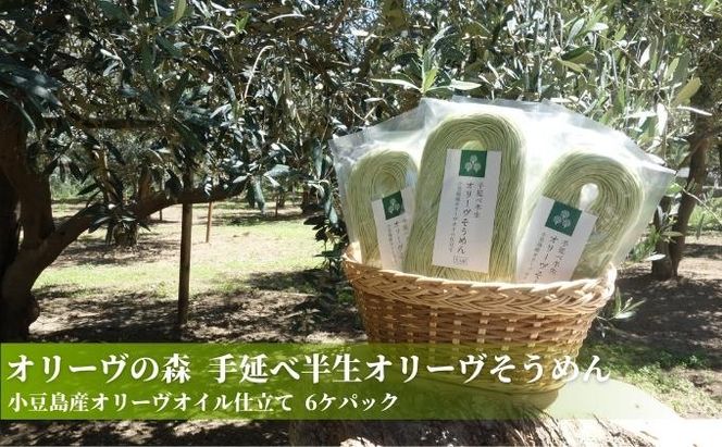 【 小豆島 】オリーヴの森　手延べ半生オリーヴそうめん　小豆島産オリーヴオイル仕立て　6ケパック 麺類 素麺 