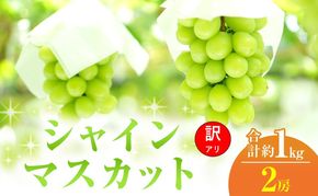 【2026年 先行予約】【訳あり品】 シャインマスカット 2房 合計約1kg 常温配送 ぶどう 葡萄 フルーツ 果物 岡山 岡山のぶどう 岡山の果物 食後 デザート 産地直送 大粒 皮ごと 種無し 