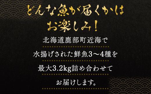 【2026年7月下旬発送】北海道産 冷凍鮮魚セット 最大3.2kg 「漁師応援プロジェクト！」 下処理済み 冷凍 鮮魚 海鮮 海産 地元
