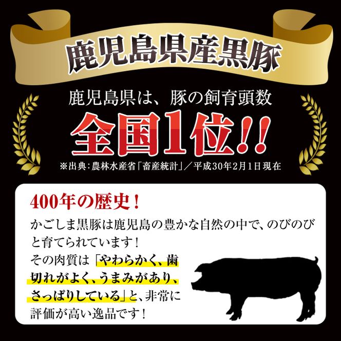数量限定！鹿児島黒牛切り落とし肉・鹿児島黒豚もも切り落とし肉(計約2.2kg)国産 九州産 鹿児島産 国産牛 牛肉 豚肉 切落し もも肉 モモ肉 豚もも 豚モモ バラ肉 豚バラ 限定【鹿児島いずみ農業協同組合】akn018-31