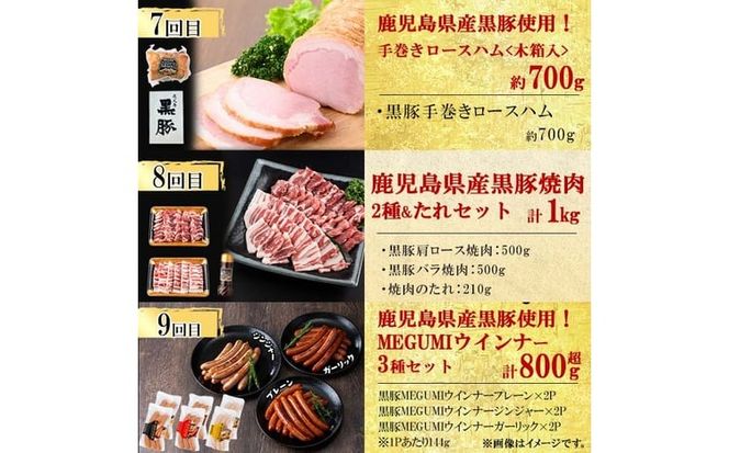 【定期便・全12回】ナンチクのお肉を楽しむ定期便！ナンチク厳選コース！ 総量8.5kg超! t0165-002