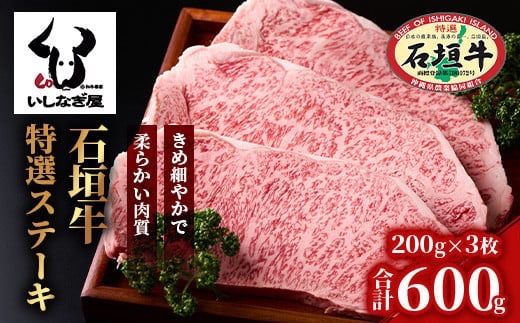 yꌧΊ_szΊ_IT[CXe[L200g×3 AB-20