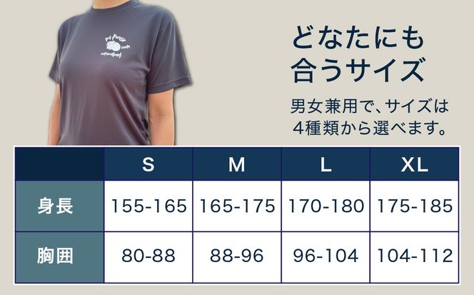 【日本百名山】【2026年限定】幌尻岳記念山詩Tシャツ（グレー Mサイズ） BRTJ041
