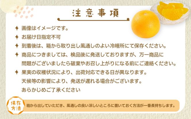 【産地直送】☆八朔☆サイズ混載（M～２L）☆9kg 	AL08