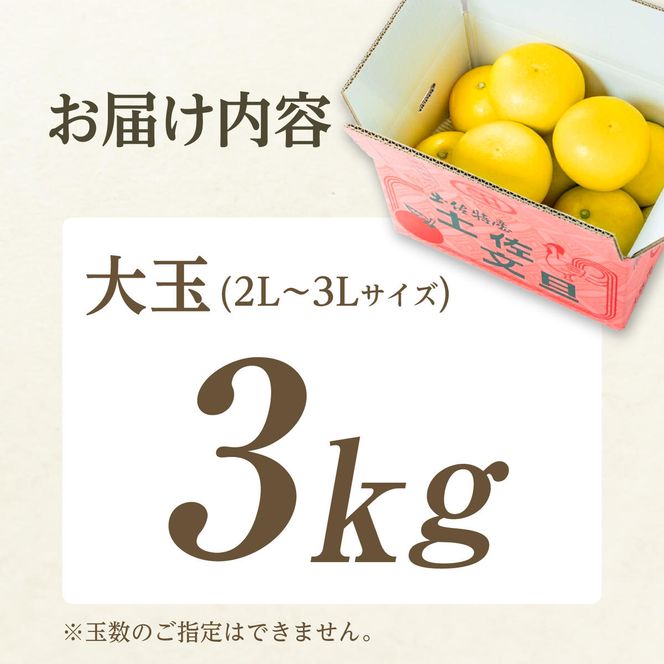 【日本ギフト大賞2024受賞】【先行予約】 文旦3kg 大玉（3L～2L）家庭用 高知県 土佐文旦  旬 ぶんたん ブンタン 柑橘 フルーツ 果物 贈答 ギフト 土佐 高知 やの一果彩【やの一果彩】 [BQAC001]