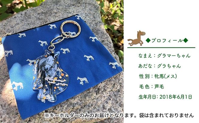 馬 たてがみ 尻尾 手作り レジン キーホルダー ２個(トントントントロ＆グラマー) オリジナル [№5735-1919]