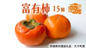 富有柿 15個【令和7年11月より発送開始】（茨城県共通返礼品：大子町産）田舎の頑固おやじが厳選！ 柿 富有柿 高糖度 かき 甘い フルーツ 美味しい [BI308-NT]