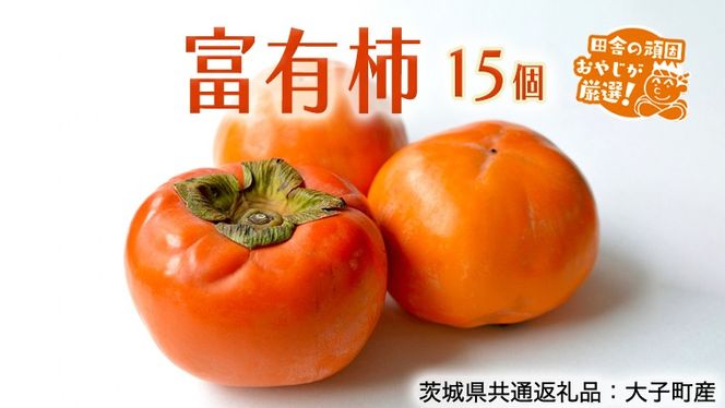 y錧΂݂炢szxL` 15yߘa7N11蔭Jnzi錧ʕԗiFqYjcɂ̊ł₶II ` xL` x  Â t[c  [BI308-NT]