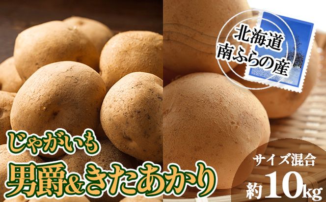 南ふらの産 じゃがいも 男爵 ＆ きたあかり 約10kg【サイズ混合】 北海道 南富良野町 じゃがいも ジャガイモ キタアカリ 北あかり 2026年発送 先行予約 ポテト 野菜 