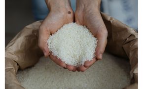 2025年度産　きぬむすめ5キロ 322032_CP002