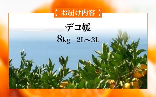 【先行予約】デコ媛 8kg（2L～3L）※離島への配送不可（2027年2月下旬頃より順次発送予定） IKTAR009