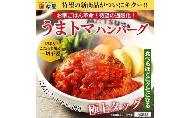 松屋 鉄板焼きハンバーグ20食セット うまトマ＆ブラウン2種ソース | 食べ比べ 冷凍で簡単調理・ストックにも最適