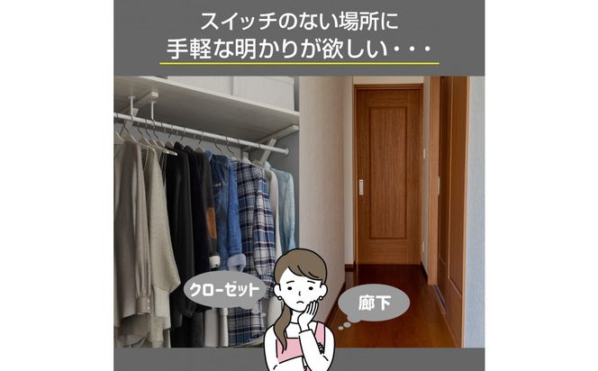 LED多目的灯 明暗人感60cm 昼光色ALT-3060PIR(D) 272183_AZ247