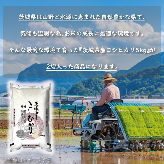 令和8年産 新米 茨城 コシヒカリ 10kg (5kg×２袋) 米 お米 おこめ 白米 ライス ご飯 精米 こしひかり 国産 茨城県産