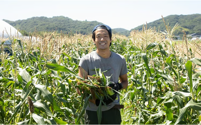 ［2026年先行予約］牛窓産とうもろこし まるでフルーツ！生で甘い、茹でて美味い！「桃太郎コーン」と「うしまどんな」のセット 約4kg 8～12本入り 産地直送 食べ比べ[№5735-1795]