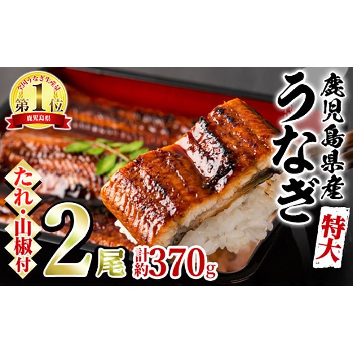 [0144360a][特大]うなぎ蒲焼き(無頭)(2尾・計約370g・タレ、山椒付)うなぎ 高級 ウナギ 鰻 国産 蒲焼 蒲焼き たれ 鹿児島 ふるさと 人気[アクアおおすみ]