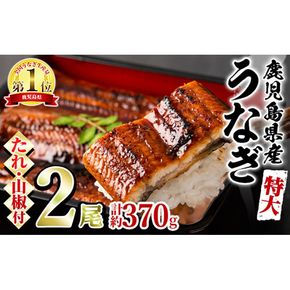 【0144360a】＜特大＞うなぎ蒲焼き(無頭)(2尾・計約370g・タレ、山椒付)うなぎ 高級 ウナギ 鰻 国産 蒲焼 蒲焼き たれ 鹿児島 ふるさと 人気【アクアおおすみ】