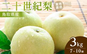 1279.【2026年9月発送】二十世紀梨　3ｋｇ 313726_CP001