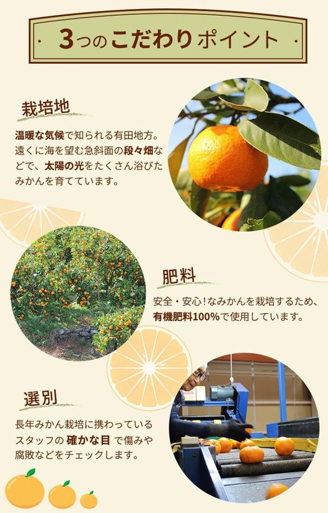 ＼光センサー選別／こだわりの完熟有田みかん 6kg＋150g(傷み補償分) 【ご家庭用】サイズ混合 ｜ふるさと納税 みかん 有機質肥料100%◇