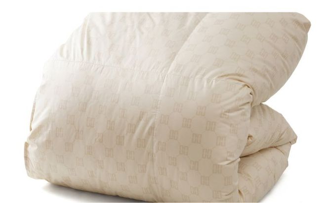 シングルサイズ羽毛掛けふとん　ダックス　寝具　羽毛　ダウン　布団　ふとん　羽毛布団　羽毛ふとん　ダウン布団　ダウンふとん　DK521122-3