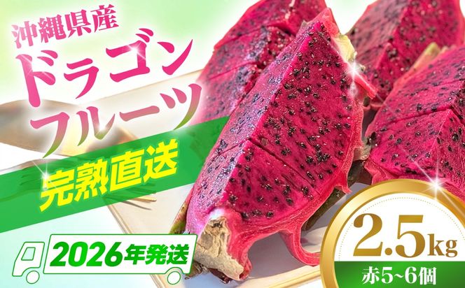 【2026年発送】 農家直送！南国の果物 ドラゴンフルーツ 2.5kg 火龍果 果物 フルーツ デザート お取り寄せ 沖縄市 / タカエス フルーツ＆ベジタブル [BCBH002]