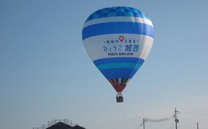 あま酒 酒米 山田錦を麹にした甘酒 7袋入 飲料 ドリンク 飲む点滴 健康食品