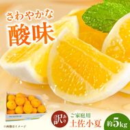 【先行予約】＜白木果樹園＞ 土佐小夏 訳ありご家庭用 約5kg〈2027年5月下旬～2027年6月下旬頃発送〉  / 5キロ こなつ 柑橘 かんきつ 柑橘類 フルーツ 日向夏 ニューサマーオレンジ 西内小夏 果物 くだもの【白木果樹園】 [BQAI034]