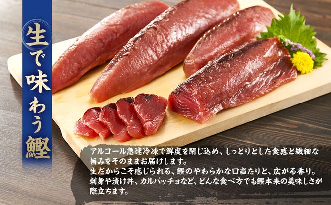 かつお一本釣り漁師が直送！ 日帰り生かつお 訳あり 500g入 304018_DT04