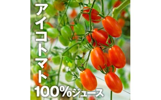 トマトジュース 無塩 無添加 1000ml×2本セット 2本入 あまいこ  トマト 100％ジュース ドリンク アイコトマト 化学調味料・保存料不使用 酸味控えめ【池トマト】 [BQAG029]