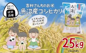 ｜従来品種｜ 魚沼産 コシヒカリ 5kg ×5袋 計25kg 米 こしひかり お米 コメ 新潟 魚沼 魚沼産 白米 送料無料 新潟県産 精米 産直 農家直送 お取り寄せ 吉村さんちのお米 新潟県 十日町市 モチモチ 