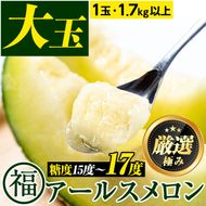【0151110a】＜厳選極み＞マル福の高級アールスメロン(大玉1玉・1.7kg以上)メロン フルーツ 果物 果実 1キロ 数量限定 期間限定 贈答 贈り物【マル福園芸組合】