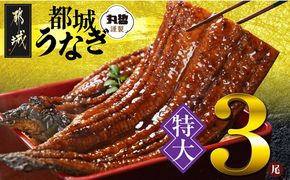 宮崎県育ちの【特大】うなぎ蒲焼3尾680g以上≪山椒・たれ付≫_29-M301