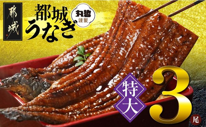 y{茧ssz{茧炿́yzȂ3680gȏREt_29-M301